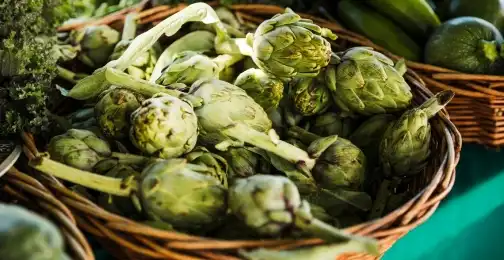 Artichoke Extract Powder vs. Artichoke Capsules: Which is Better?